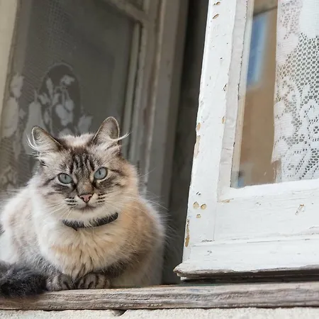 Flh Madragoa Bright Place